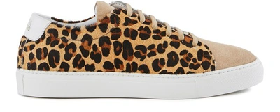 Shop National Standard Edition 3 Sneakers In Pony Leopard