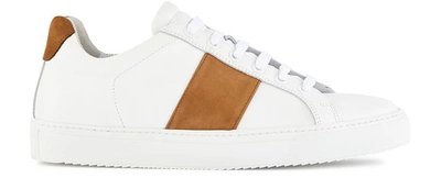 Shop National Standard Edition 4 Trainers In Cognac Band