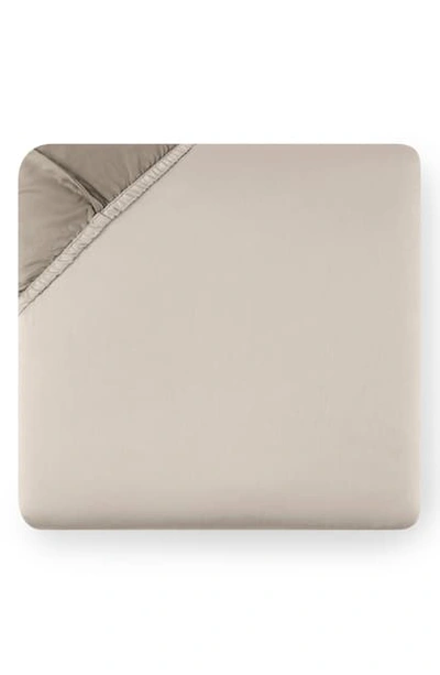 Shop Sferra Larro 420 Thread Count Fitted Sheet In Nougat
