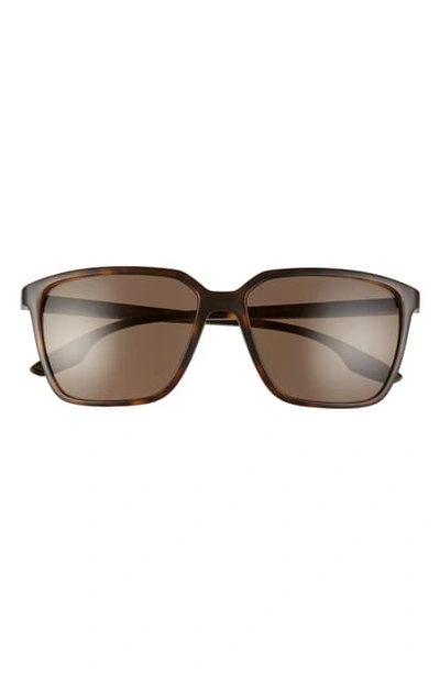 Shop Prada 58mm Square Sunglasses In Matte Havana/ Brown Solid