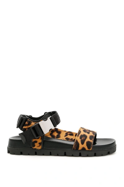 Shop Prada Leopard Print Sandals In Multi