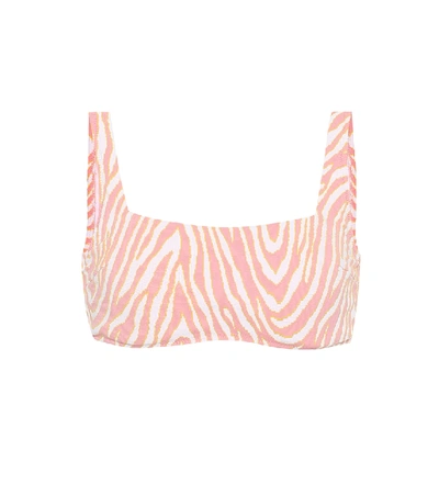 Shop Heidi Klein Cape Town Zebra-print Bikini Top In Pink