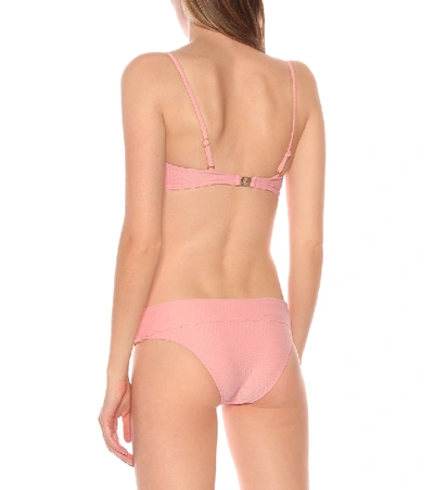 Heidi Klein South Beach Scalloped Bikini Top In Pink
