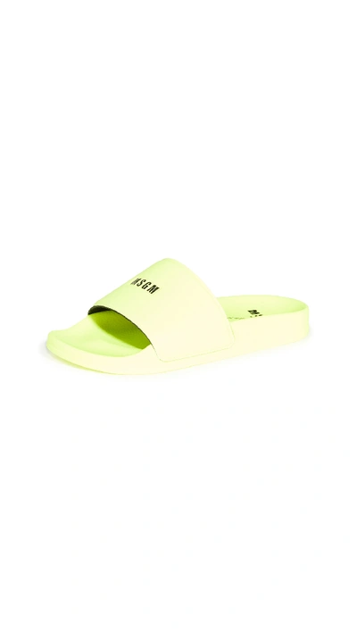 Shop Msgm Pool Slides In Neon Yellow