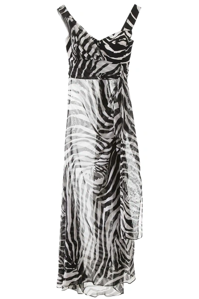 Shop Dolce & Gabbana Zebra Print Chiffon Dress In White,black