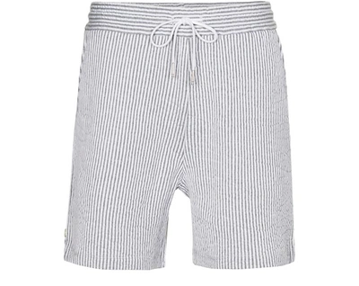Shop Thom Browne Cotton Shorts In Light Grey