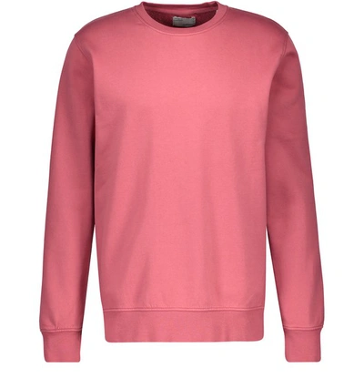 Shop Colorful Standard Organic Cotton Sweatshirt In Raspberry Pink