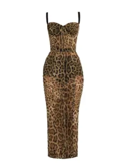 Shop Dolce & Gabbana Leopard-print Tulle Pencil Midi Dress
