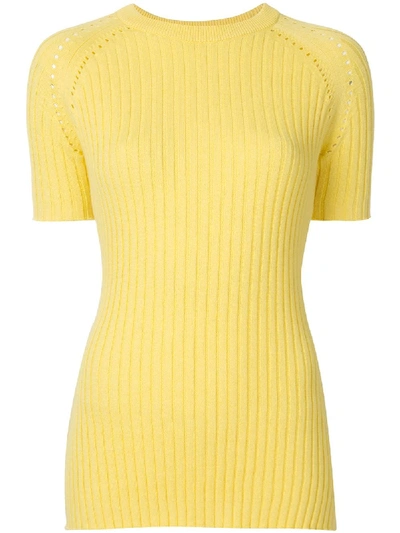 Shop Anna Quan Billie Ribbed-knit Top In Yellow