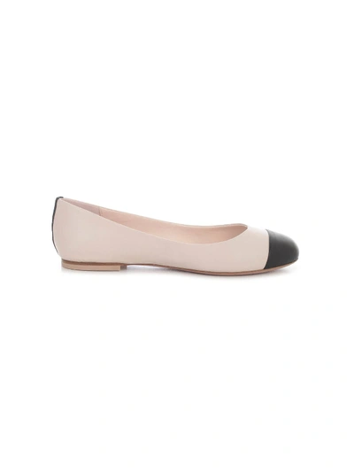 Shop Anna Baiguera Ballerinas Chanel W/black Tip In Natur Black Sunset Pink