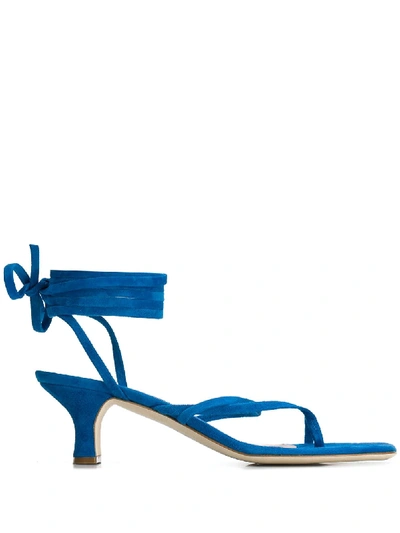 Shop Paris Texas Lace-up Toe-ring 45mm Sandals In Blue