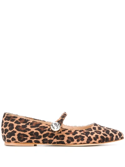 Polly Plume Bonnie Stone Zoo Ballerinas In Brown