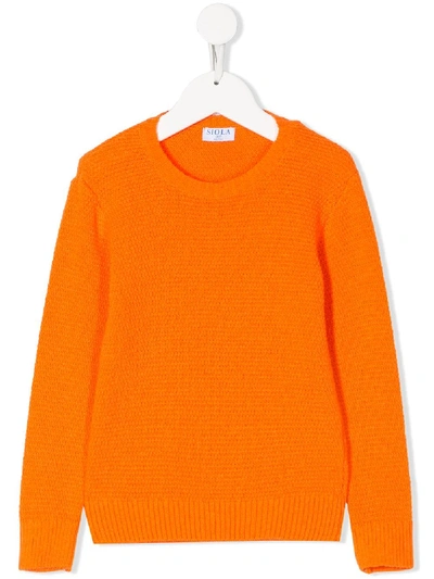Shop Siola Knitted Crew-neck Jumper In Orange