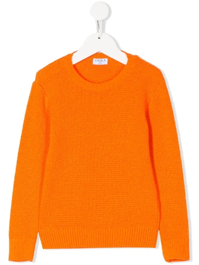 Siola Knitted Crew-neck Jumper In Orange