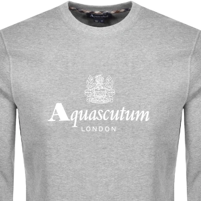 Shop Aquascutum Waterfield Crew Neck Sweatshirt Grey