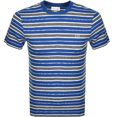 Shop Lacoste Crew Neck Stripe T Shirt Blue