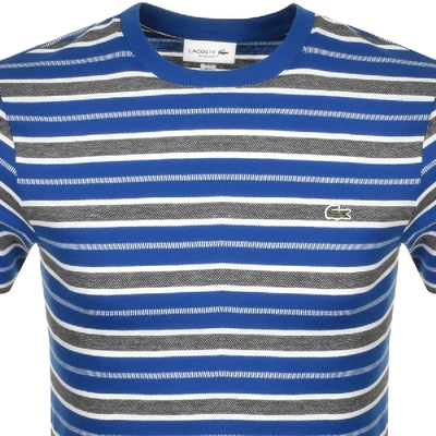Shop Lacoste Crew Neck Stripe T Shirt Blue
