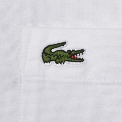 Shop Lacoste Oxford Short Sleeved Shirt White