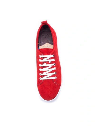Shop Robert Graham Ernesto Sneakers In Red
