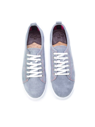 Shop Robert Graham Ernesto Sneakers In Grey