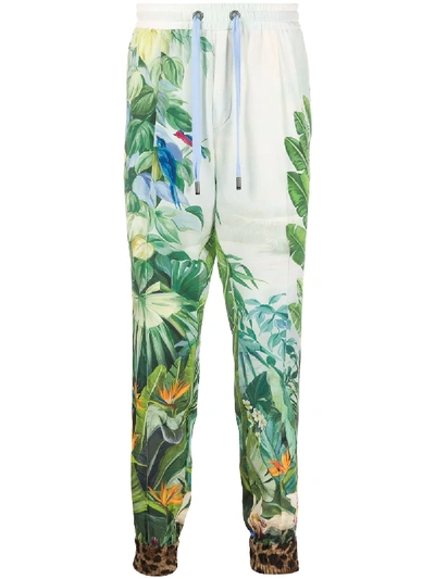 Shop Dolce & Gabbana Tropical Print Track Pants In Green
