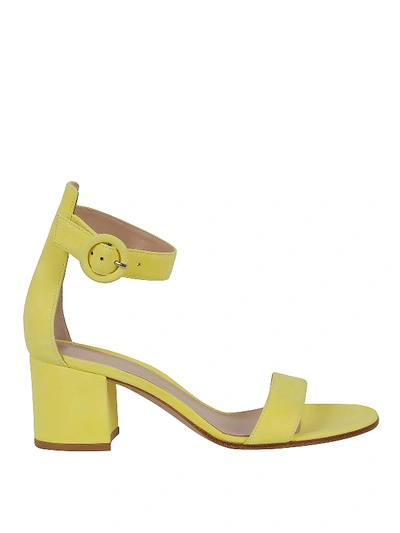 Shop Gianvito Rossi Versilia Sandals In Yellow