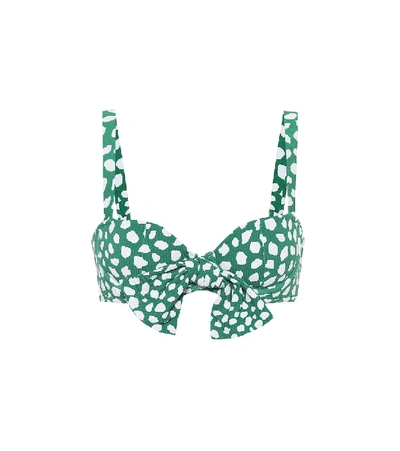 Shop Alexandra Miro Clara Leopard-print Bikini Top In Green