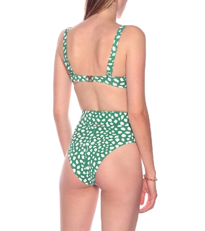 Shop Alexandra Miro Clara Leopard-print Bikini Top In Green