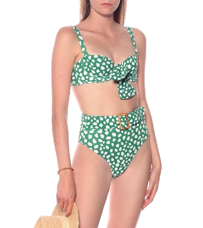 Shop Alexandra Miro Clara Leopard-print Bikini Bottoms In Green