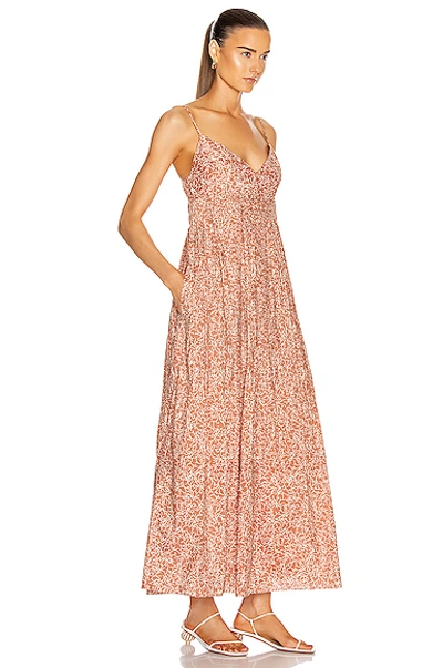 Shop Nicholas Susan Dress In Mocha Thyme Print