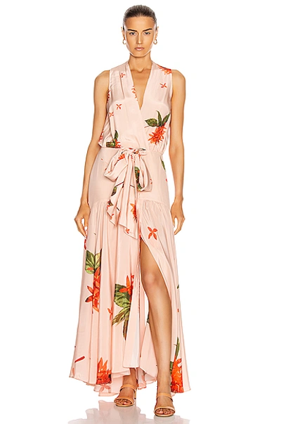 Shop Silvia Tcherassi Ada Luz Dress In Coral Flower