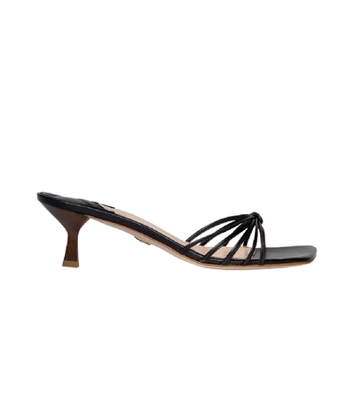 Shop Brother Vellies Luci Sandal In Black
