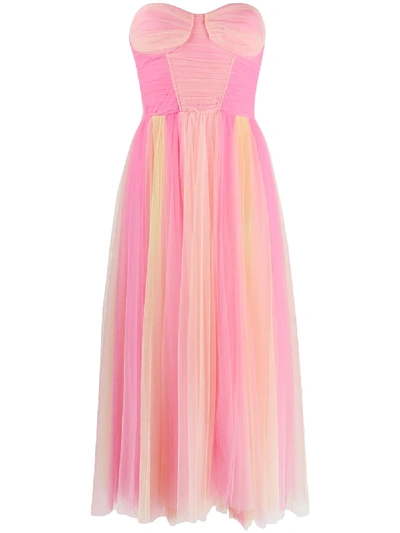 Shop Elisabetta Franchi Tulle Bustier Prom Dress In Pink