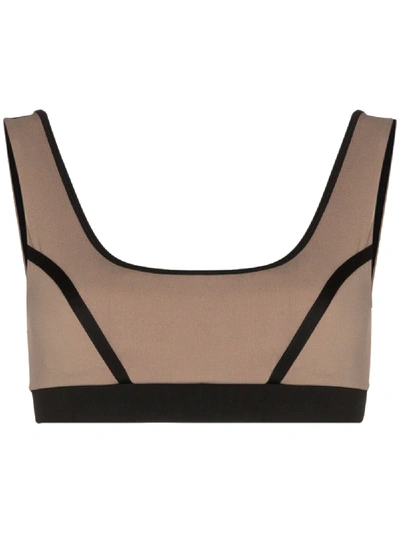 Shop Ernest Leoty Blandine Sports Bra In Brown