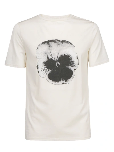 Shop Frankie Morello T-shirt In Natural White