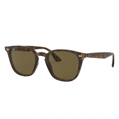 Ray Ban Sunglasses In Tortoise