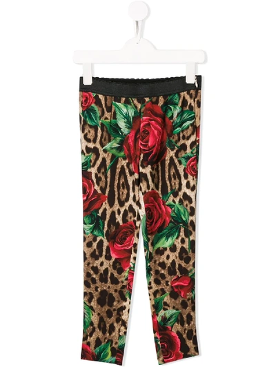 Shop Dolce & Gabbana Leopard Print Leggings In Brown
