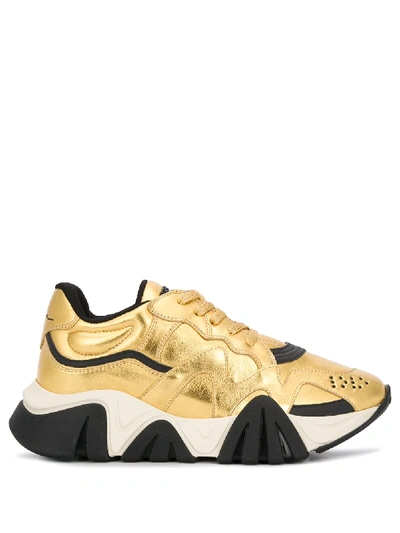 Shop Versace Squalo Sneakers In Gold