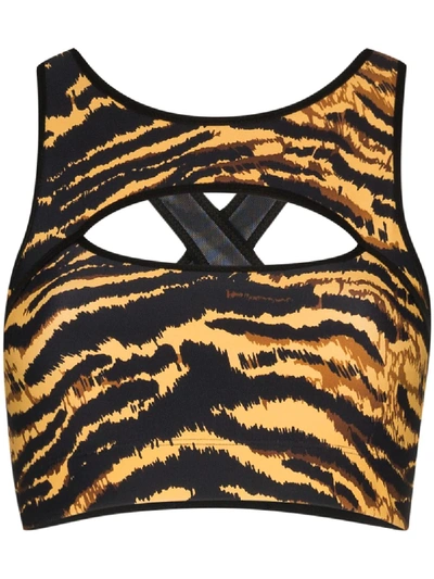 Shop Adam Selman Sport Cutout Tiger-print Sports Bra In Black