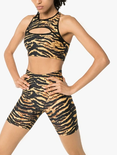 Shop Adam Selman Sport Tiger Print Cutout Sports Bra In Black