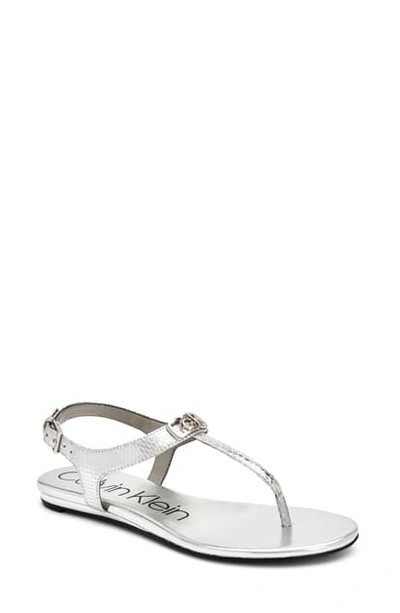 Shop Calvin Klein Shamary T-strap Sandal In Silver Snake Print Leather