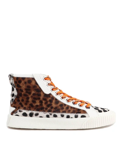 Shop Jimmy Choo Impala Hi/f Sneakers In Multi