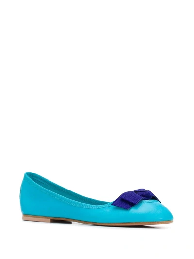 Shop Anna Baiguera Bow Ballerina Shoes In Blue
