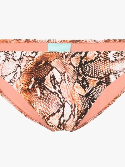 Shop Melissa Odabash Cancun Snake Print Bikini Bottoms In Brown