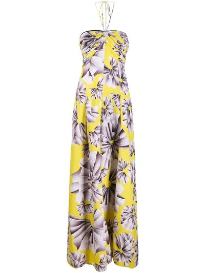 Shop Maria Lucia Hohan Ives Halterneck Jumpsuit In Yellow