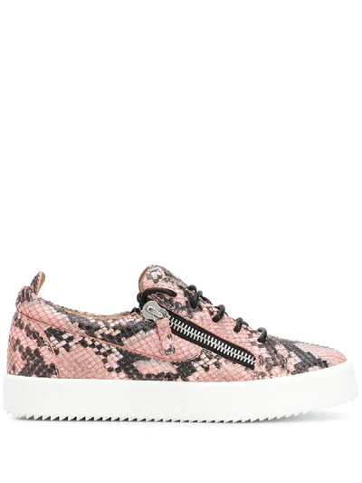Shop Giuseppe Zanotti Snakeskin Print Low Top Sneakers In Pink