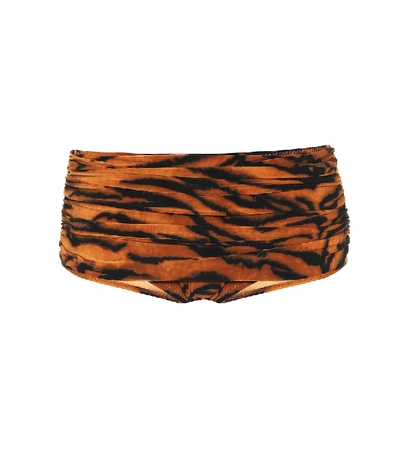 Shop Norma Kamali Bill Tiger-print Bikini Bottoms In Orange