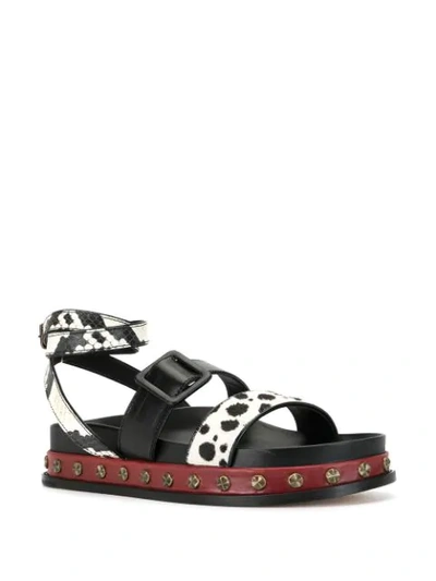 Shop Ports 1961 Animal-print Strappy Sandals In Black
