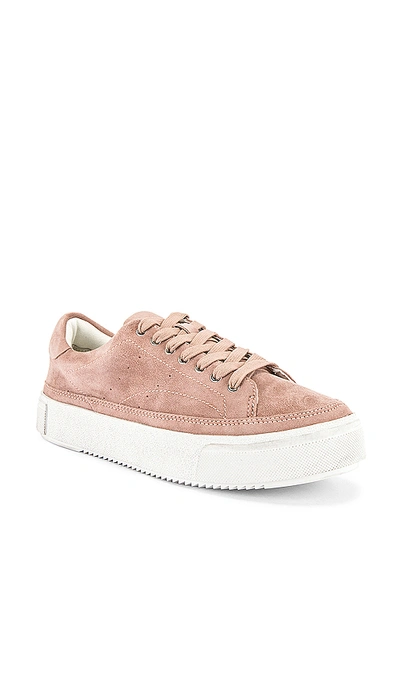 Shop Allsaints Trish Sneaker In Blush Suede