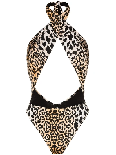 Shop Reina Olga Italian Stallion Leopard-print Swimsuit In Black